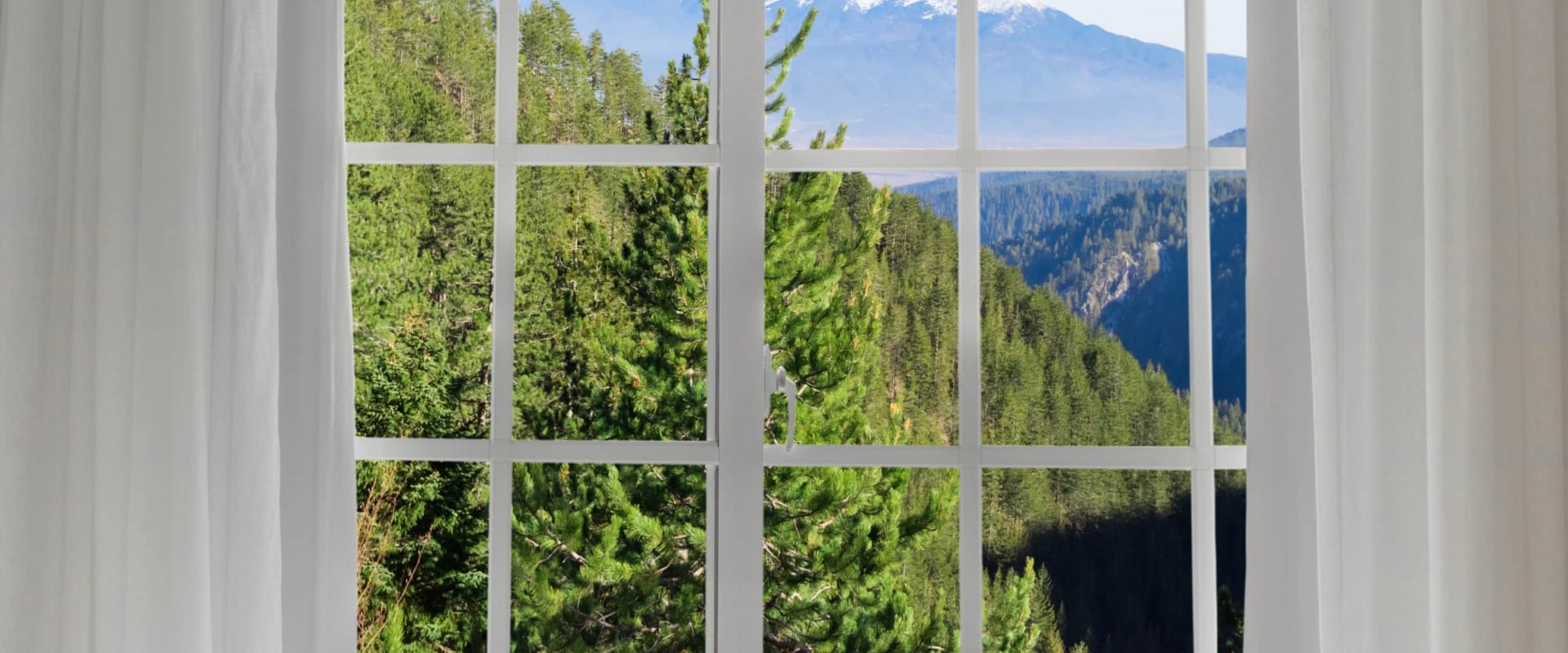 The Castle Rock Difference: Choosing The Right Window Cleaning Service For Your Home's Window Replacement Project
