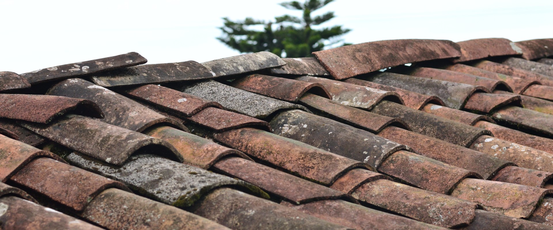 From Hail To Home Restoration: Roof Damage Repair And Window Replacement In Northern VA