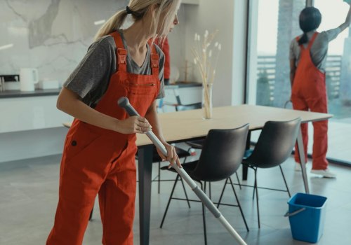 Revitalize Your Home With Professional House Cleaning Services For Window Replacement Projects In Charleston, SC