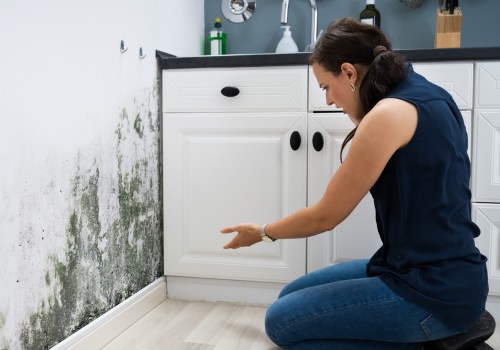 Protect Your Home Investment: Do Water Damage Restoration Before A Home Window Replacement In Moreno Valley